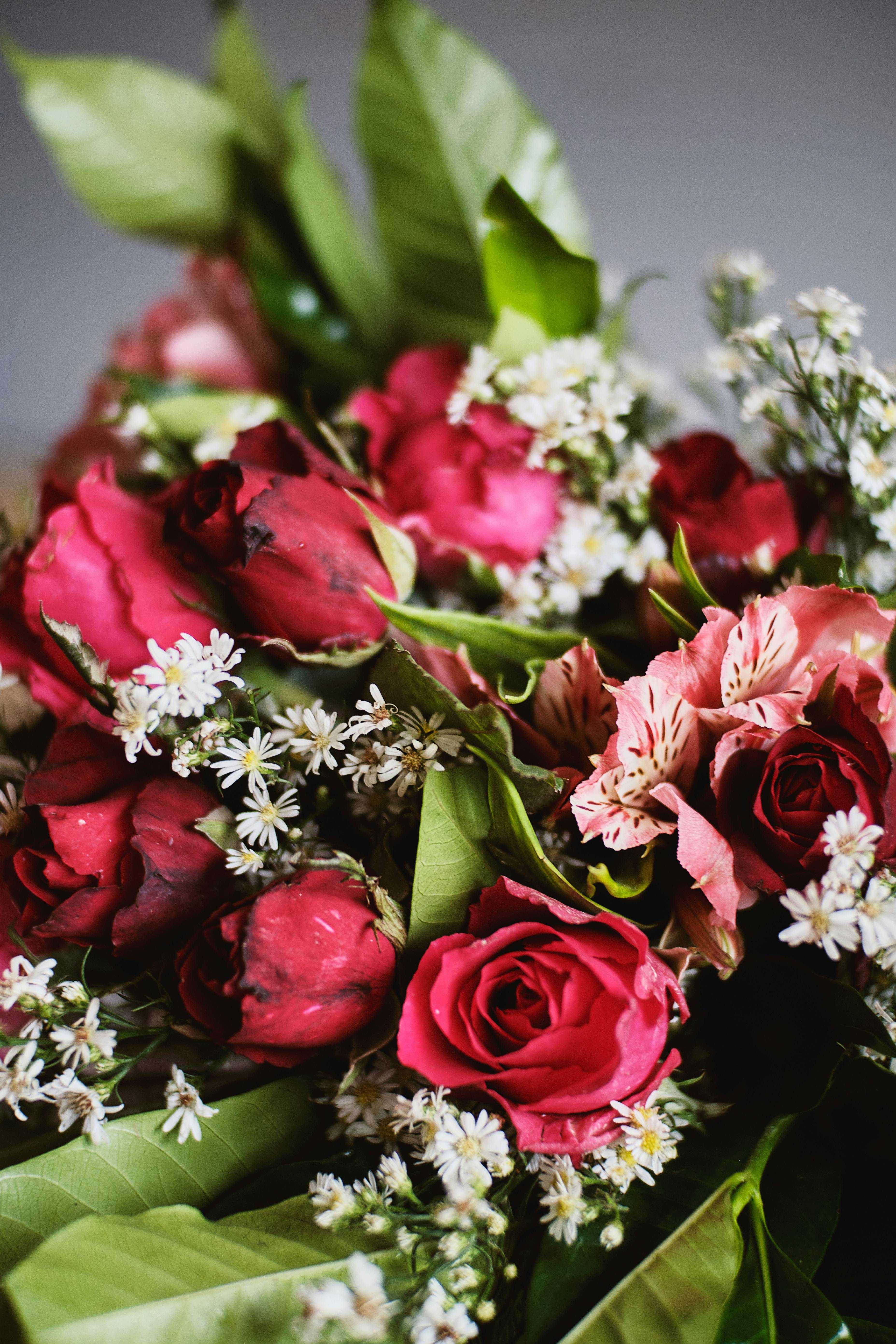 Imagine De Stoc GratuitÄƒ Cu Buchet Buchet De Flori Buchete