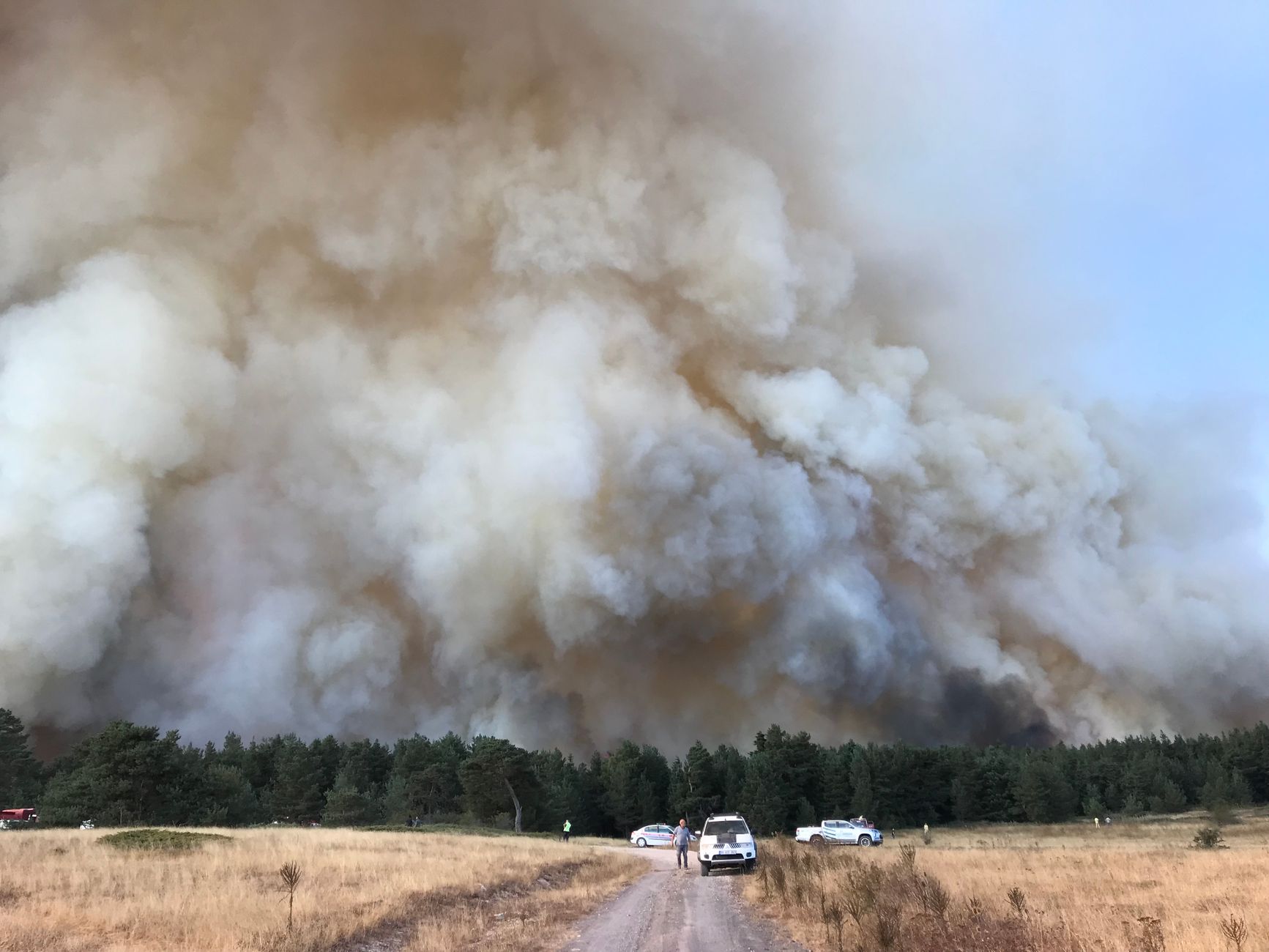 New Forest'ta yangın sonrası dumanlar ve kapalı yol