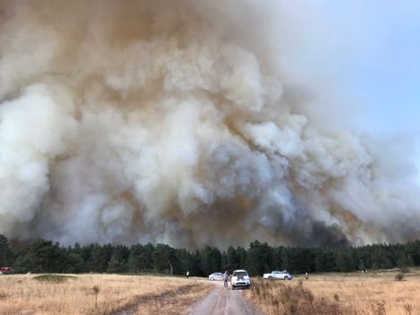 Ford: Ontario Wildfires Spreading Fast, Nearly 200 Fires Burning