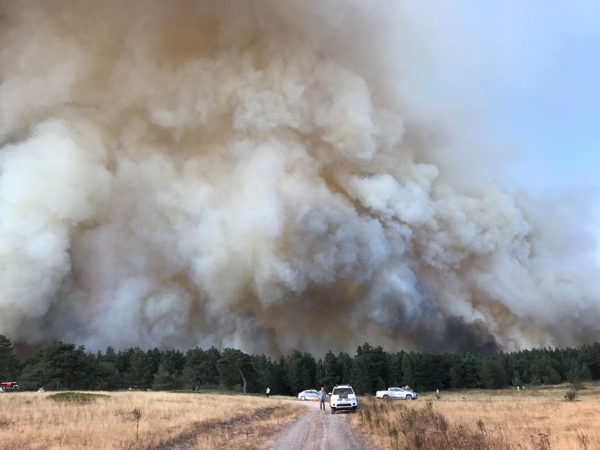 Environmental Consequences