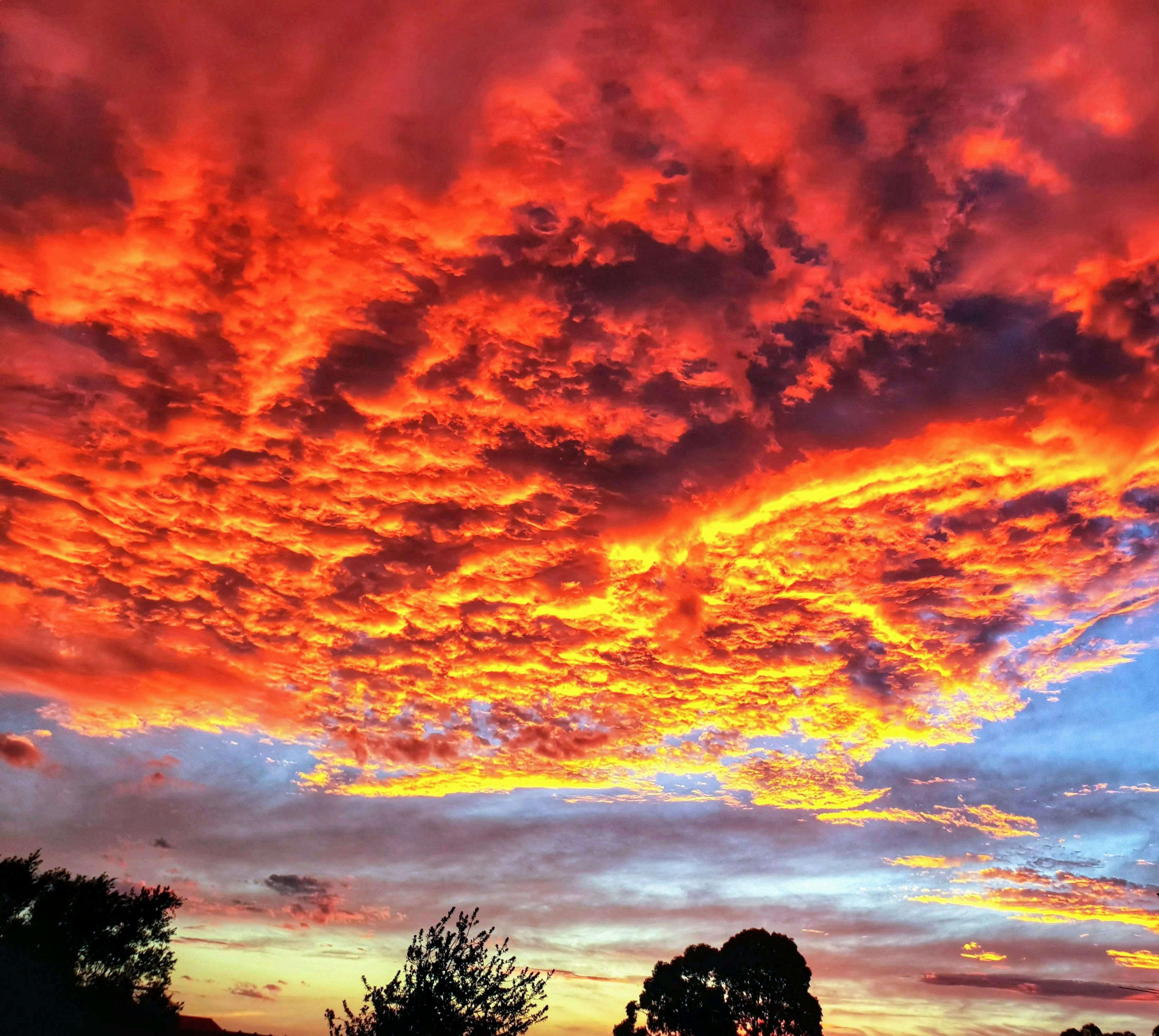 red zcloud