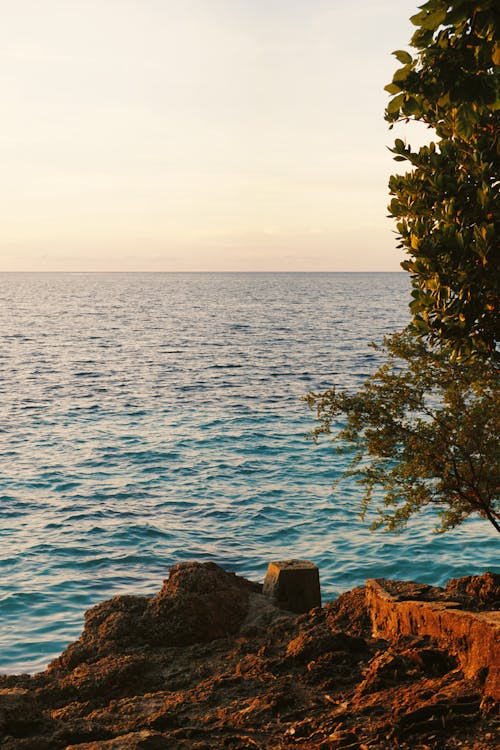 Free stock photo of rock, sea