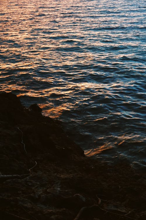 Free stock photo of dark, rock, sea