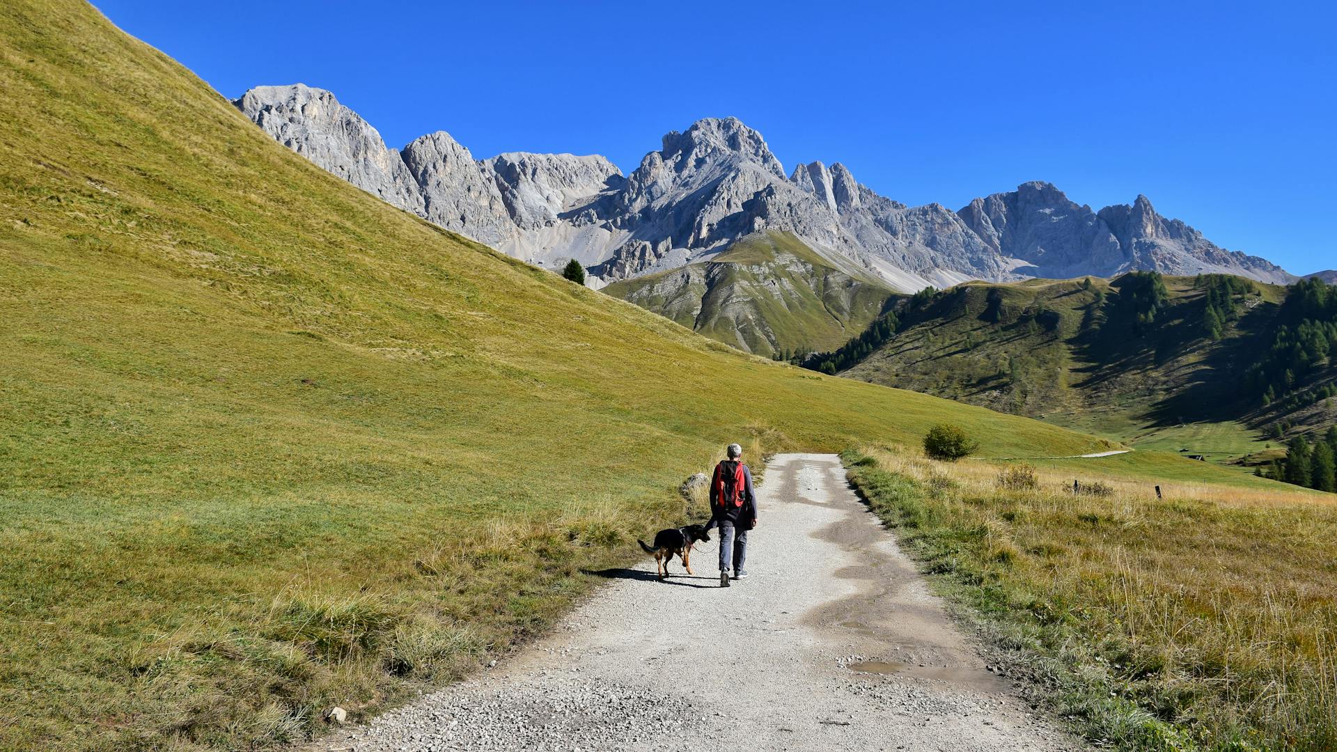 Man with Dog Hiking in Mountains