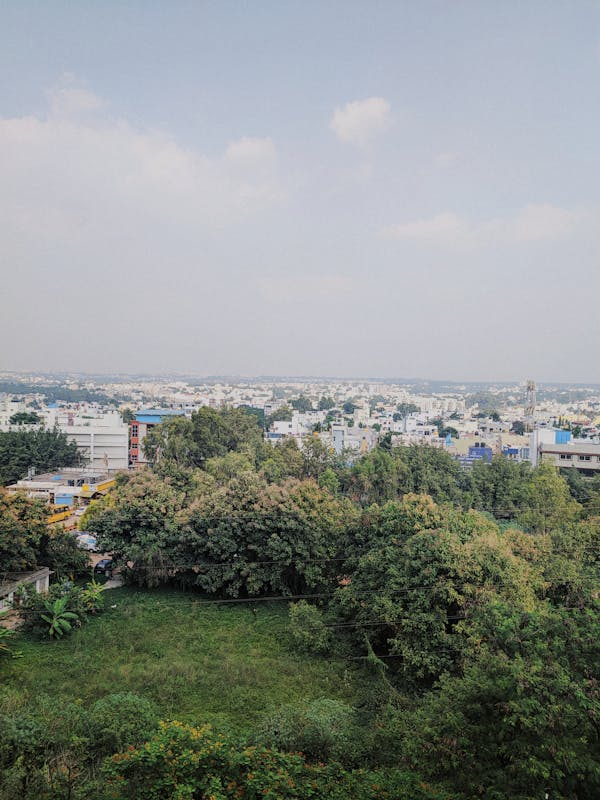 Land Image