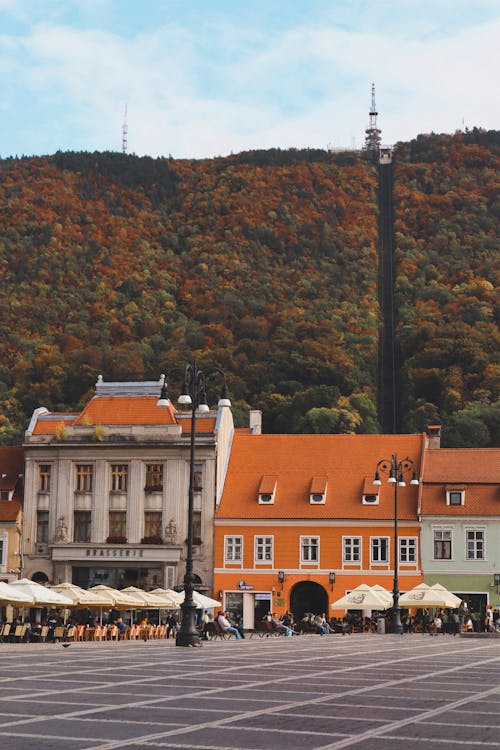 Forest on Hill over Old Town Square