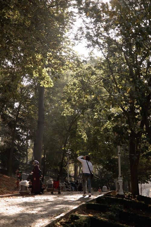 Free A tranquil park scene with people walking on a sunlit path surrounded by trees, ideal for leisure and relaxation. Stock Photo