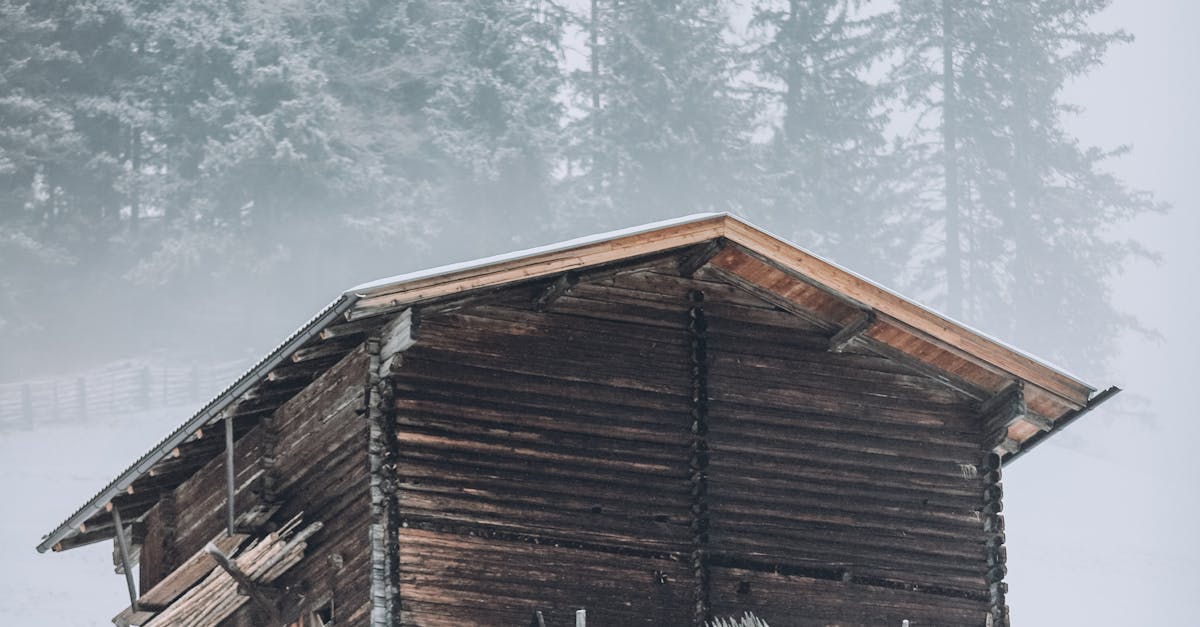 Rustic Shack in Winter · Free Stock Photo