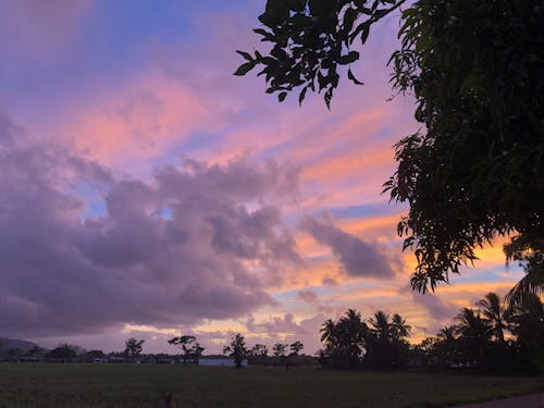Základová fotografie zdarma na téma dramatická obloha, fialová, šerý