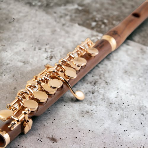 Foto d'estoc gratuïta de flauta, flauta jugador, flautista