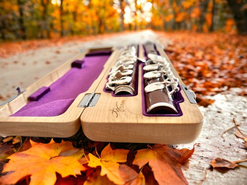 木笛, 秋天的背景, 秋季 的 免費圖庫相片