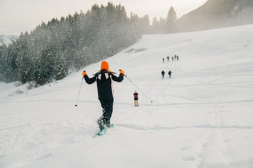 Fotos de stock gratuitas de cuesta, deporte, esquiador