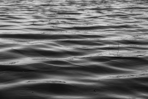 Waves in a Sea in Black and White 
