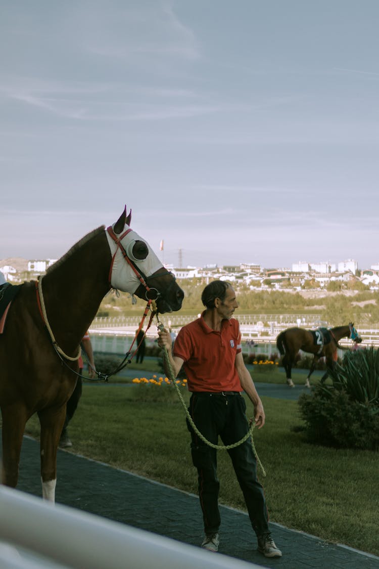 Man With Racing Horse