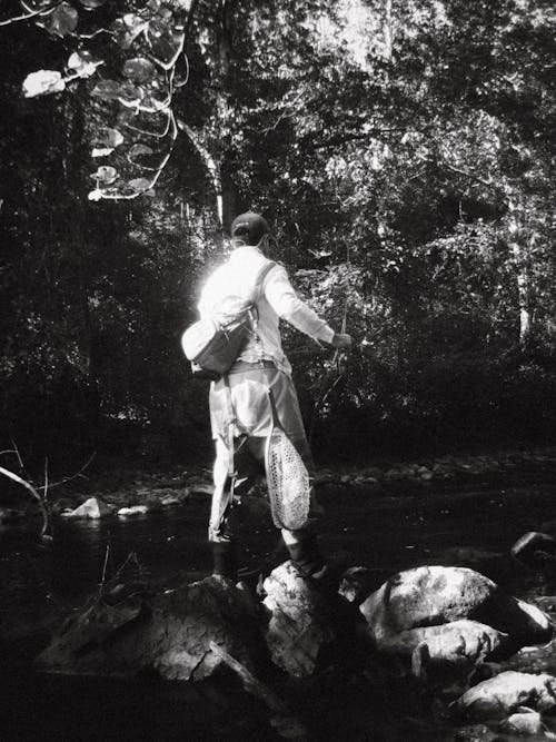 Man Standing on Stones in Forest