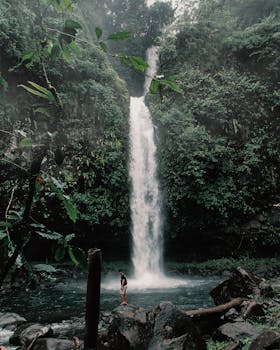 在茂密的丛林中，冒险家正在一个宁静的瀑布下方探索岩石