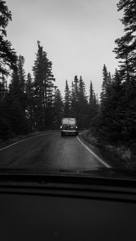 Black and white photo of a van on a wet rural road through conifer forests in Port Angeles, WA.