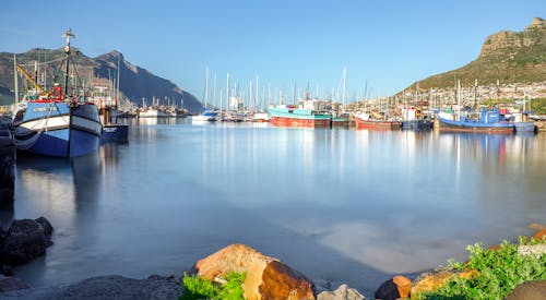 Fotobanka s bezplatnými fotkami na tému člny, dok, hout bay prístav