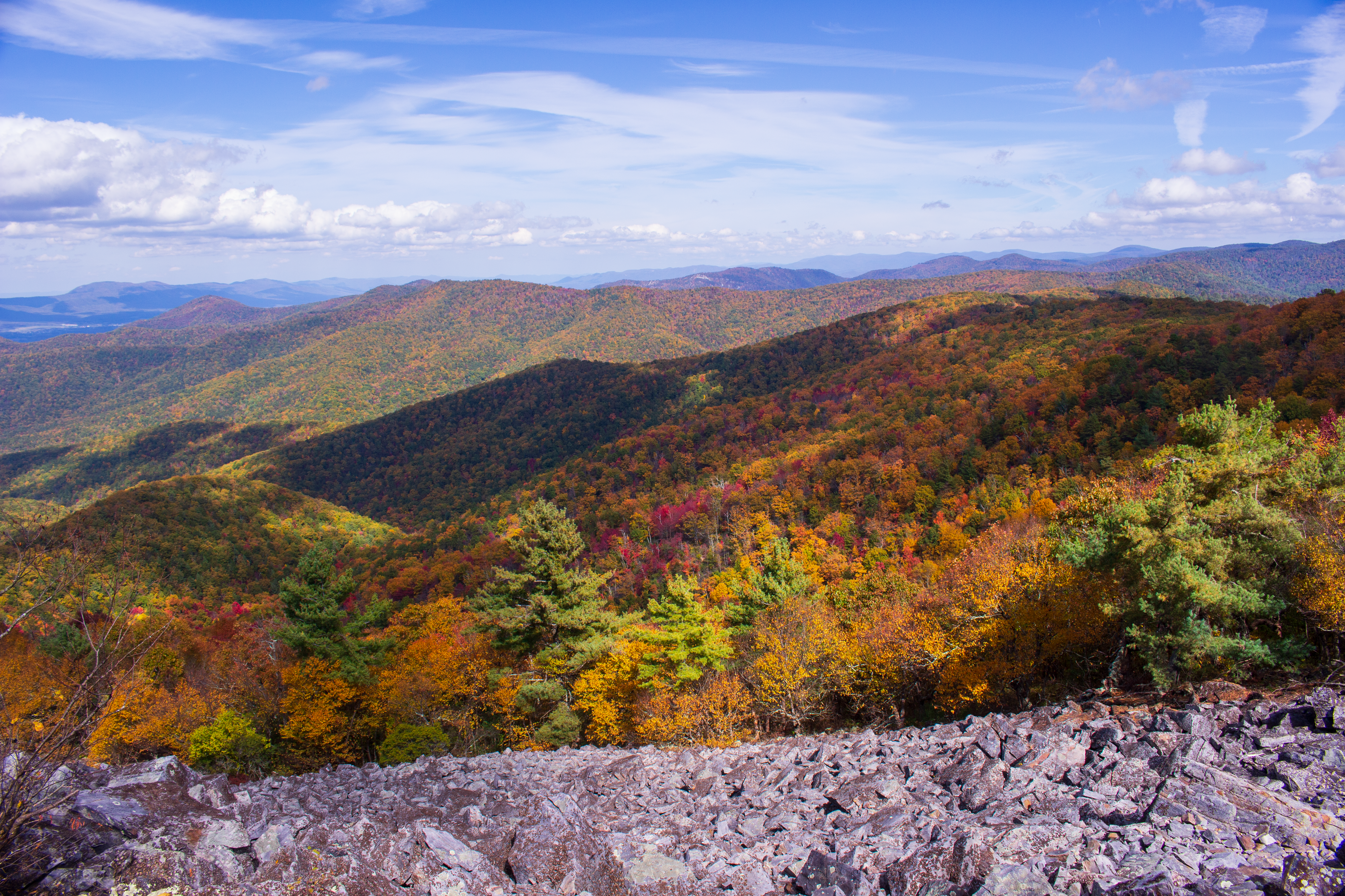 Beacon Bike Park & Pump Track Opening Fall 2026, Swannanoa