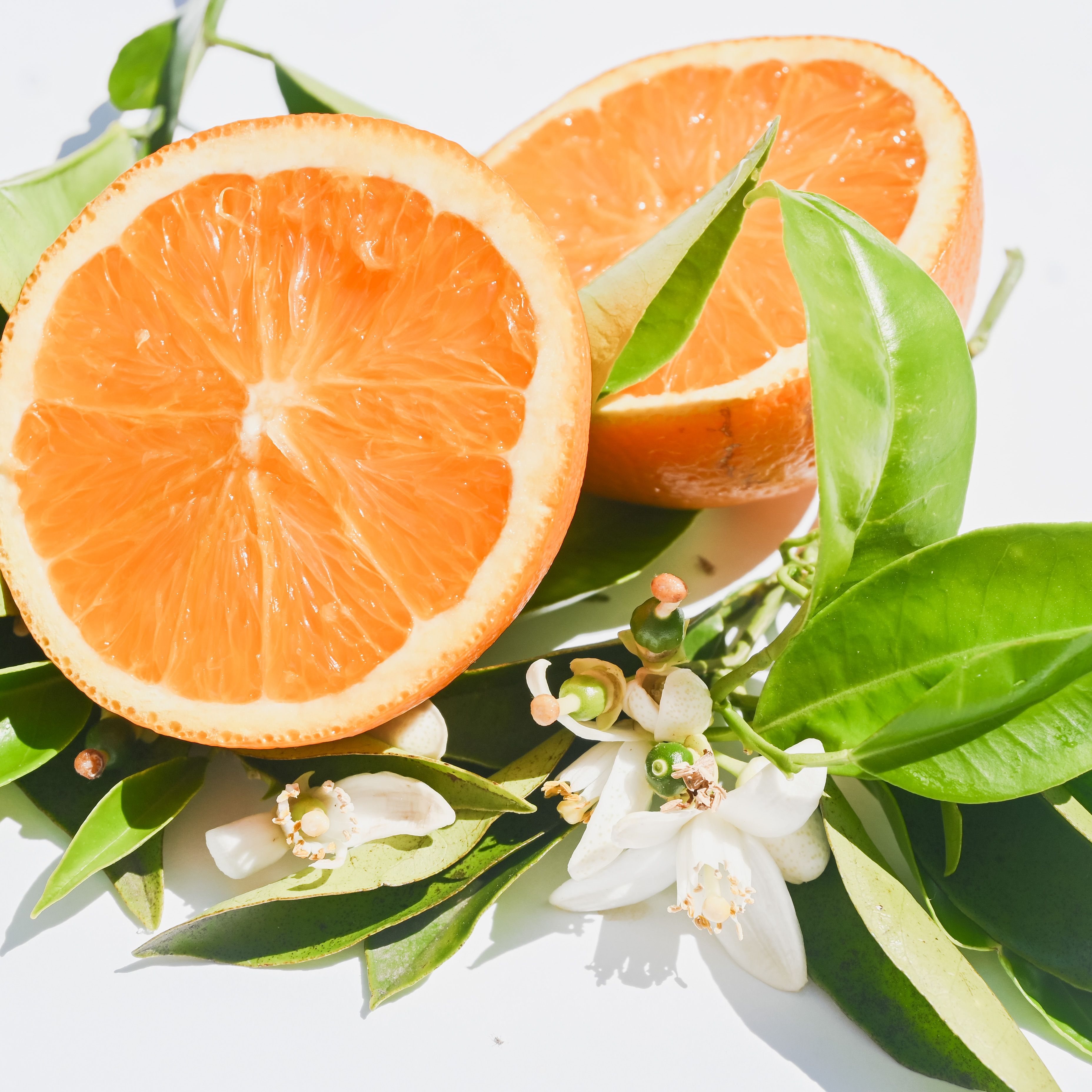 Close up of Oranges · Free Stock Photo