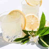 Chilled citrus drink over ice with lemon slices — photo by Studio Naae on Pexels
