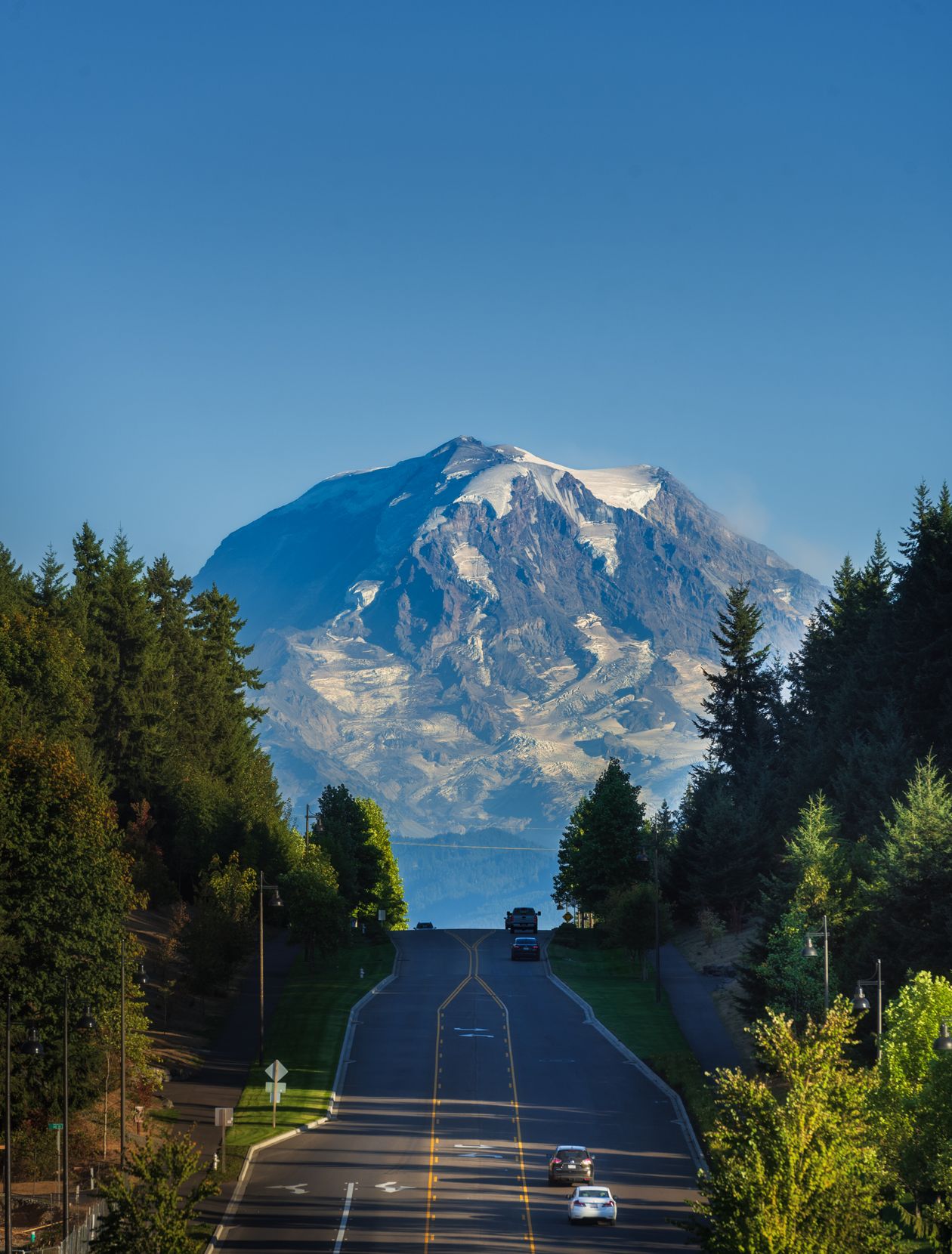 Road through forest toward Mount Rainier
