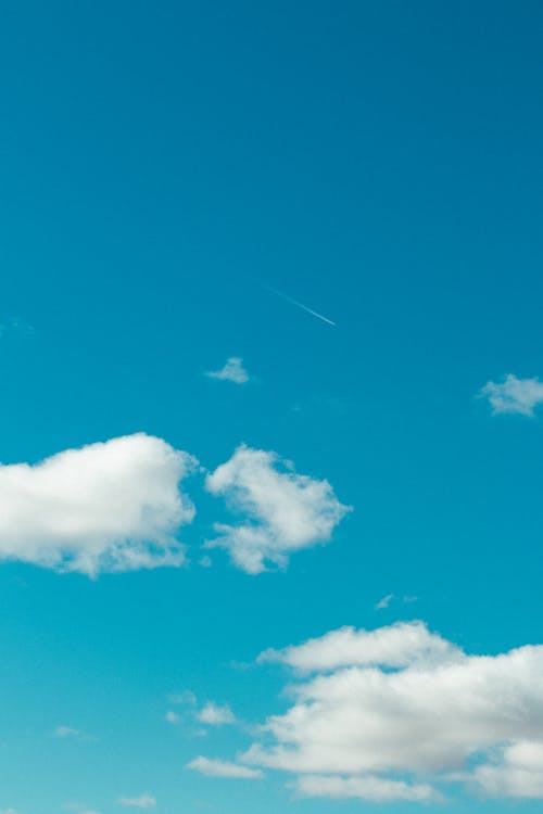 Imagine de stoc gratuită din cer albastru, fotografiere verticală, libertate