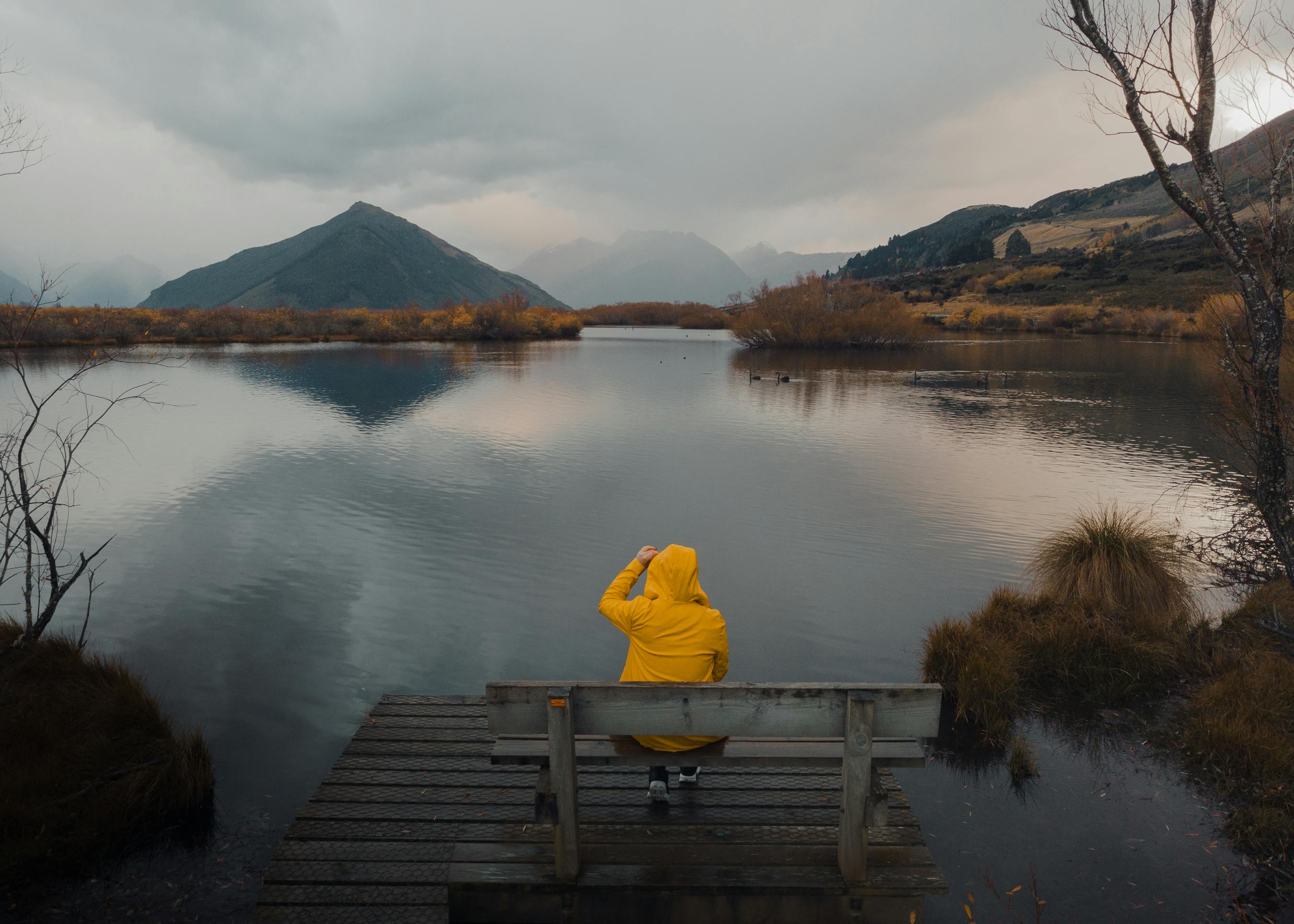 Is New Zealand Safe For Tourists? What Travelers Should Know — Photo by kari Kittlaus on Pexels