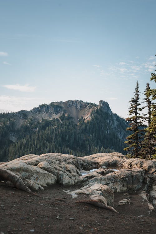 Gratis stockfoto met berg, bomen, coniferen