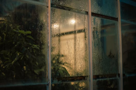 A nighttime view of a mysterious greenhouse with rain-soaked windows and dim lights.