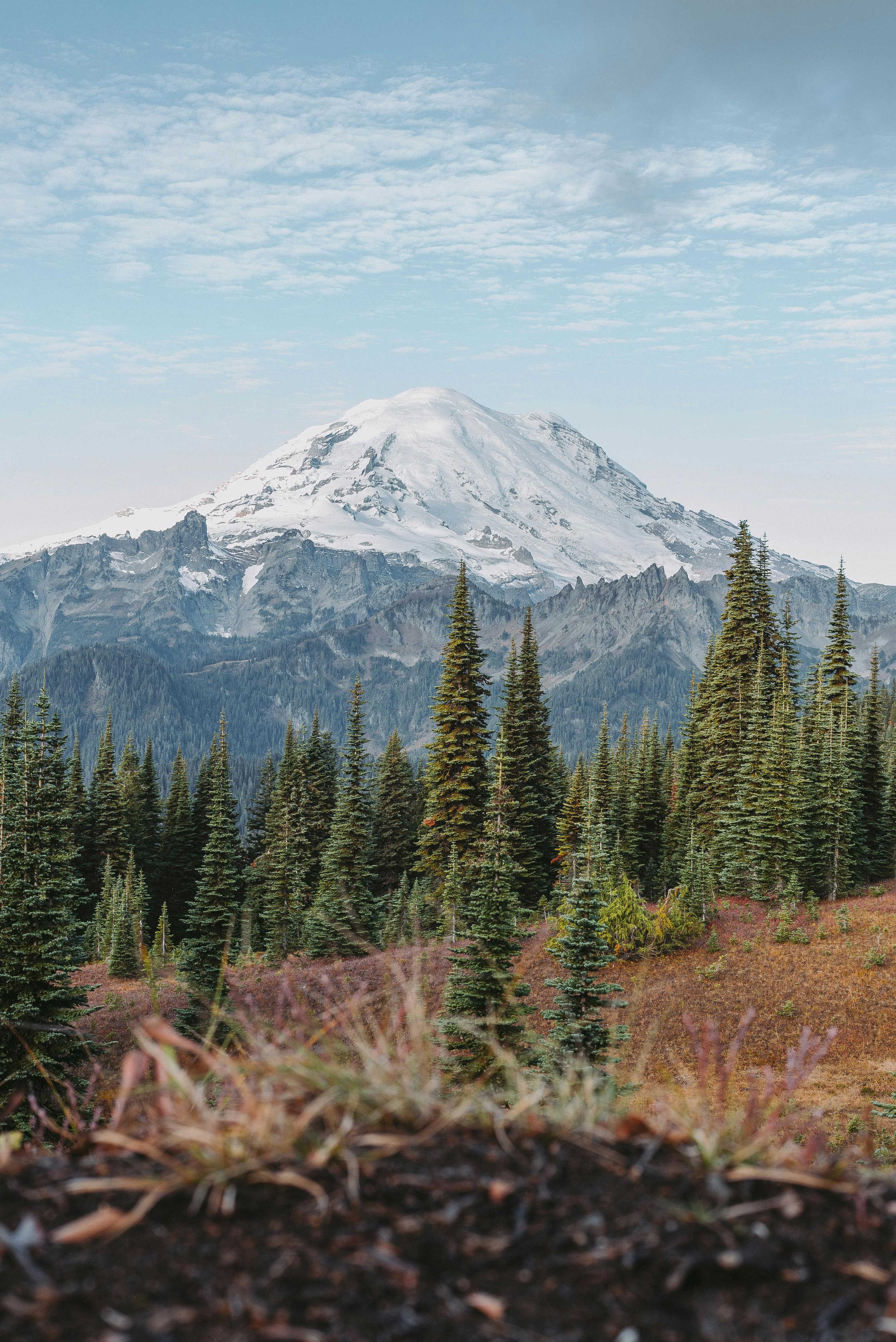 stratovolcano in mount rainier national park