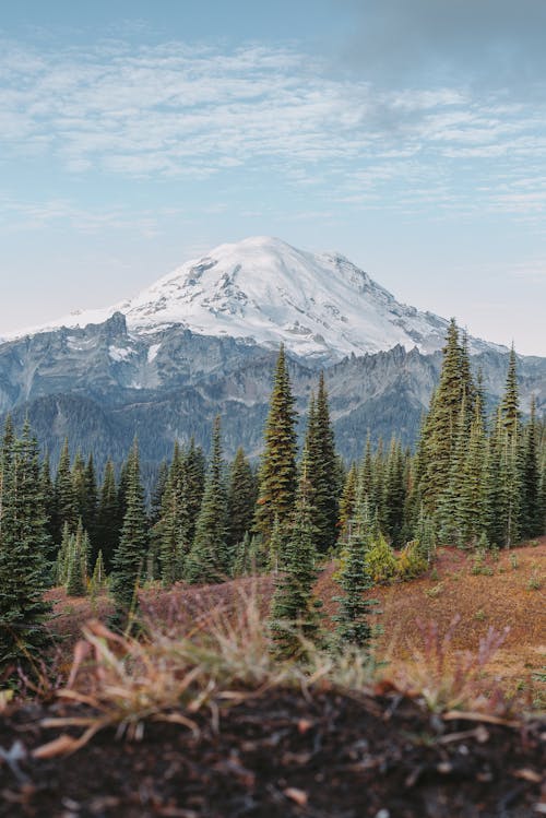 Stratovolcano in Mount Rainier National Park 