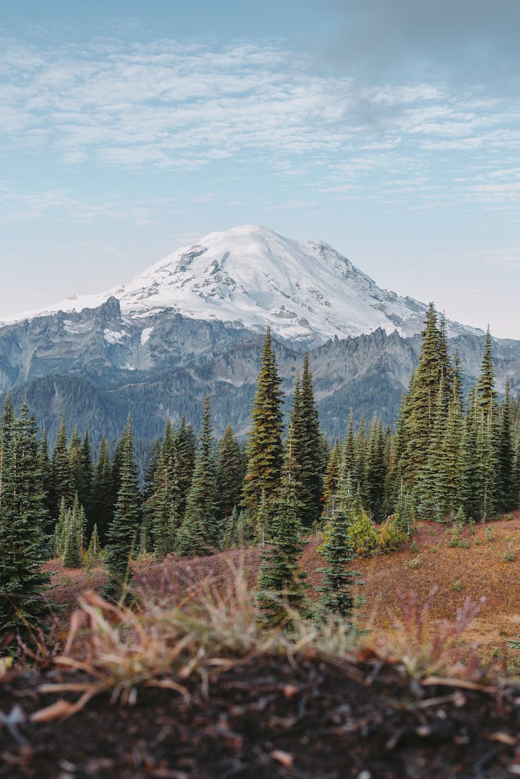 Stratovolcano In Mount Rainier National Park 