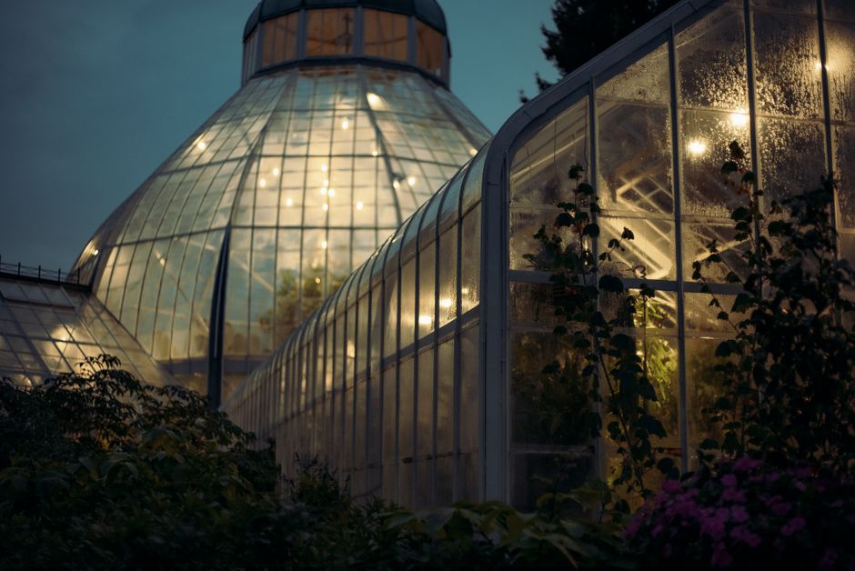 Gezellige serre met geurende planten en bloemen. Gezellige serre met geurende planten en bloemen.