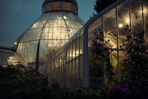 Free Beautifully lit greenhouse at dusk showcasing lush plant life through glass panels. Stock Photo