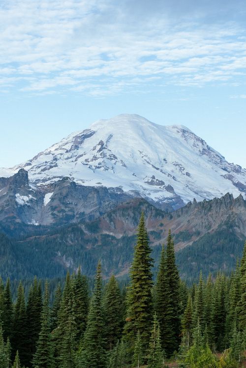 Free Breathtaking view of a snow-capped mountain surrounded by an evergreen forest under a clear sky. Stock Photo