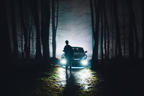 Free Man in the Forest in the Fog Lights of a Car Stock Photo