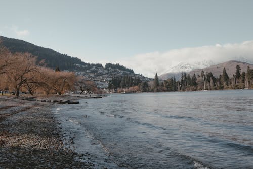 Rocky Shore of Lake Wakatipu and the Town on the Mountainside