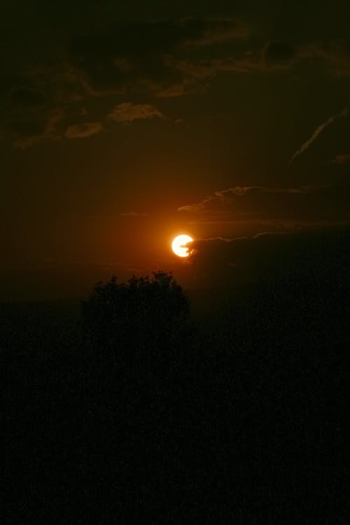 Základová fotografie zdarma na téma mraky, rozbřesk, svítání