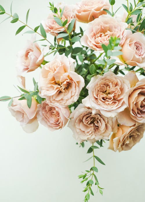Foto profissional grátis de arranjo de flores, buquê, casamento