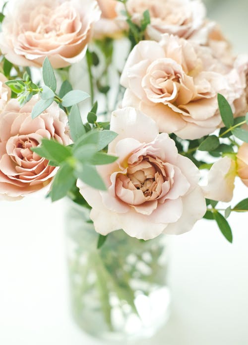 Immagine gratuita di bouquet, composizione floreale, decorazione
