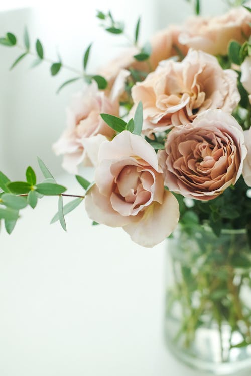 Immagine gratuita di bouquet, composizione floreale, decorazione