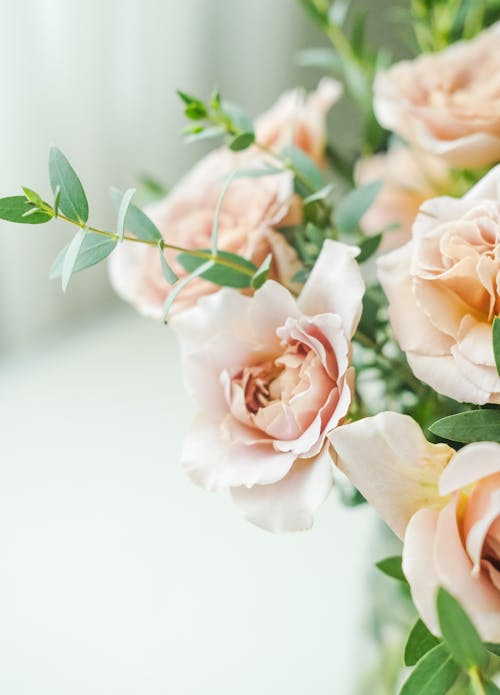 Gratis lagerfoto af blomster, blomsterarrangement, bryllup