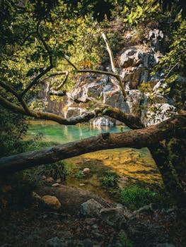 Image by Onur KAYACI