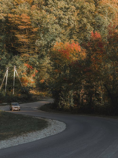 Car Driving along a Winding Road in Autumn