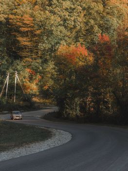 Capture the essence of fall with a car journey through vibrant autumn foliage along a curving road.