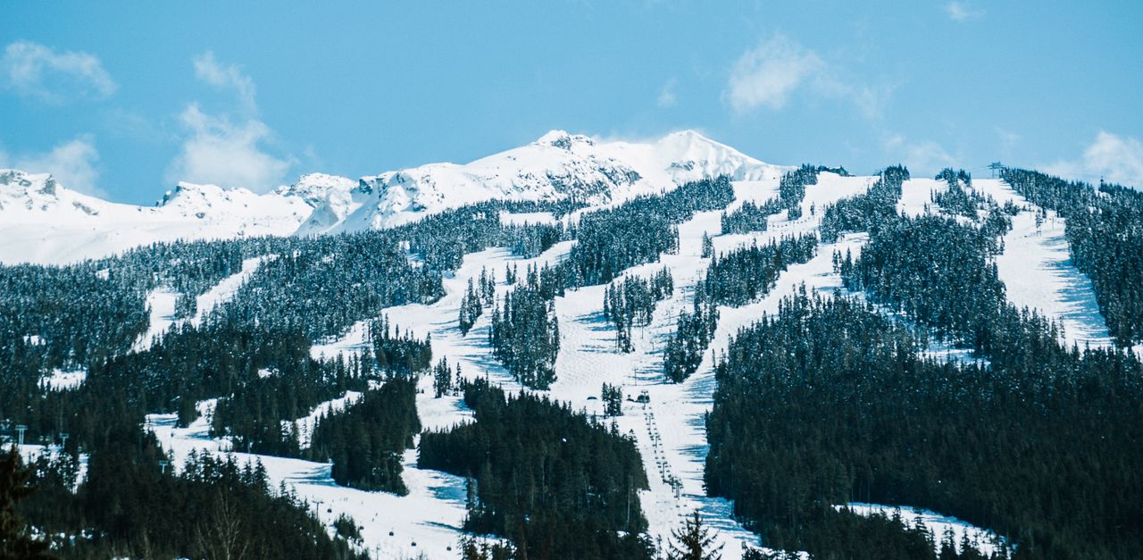 Whistler