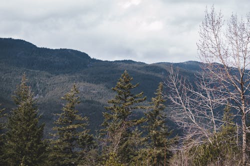 Free stock photo of blue sky, canada, mountain peak