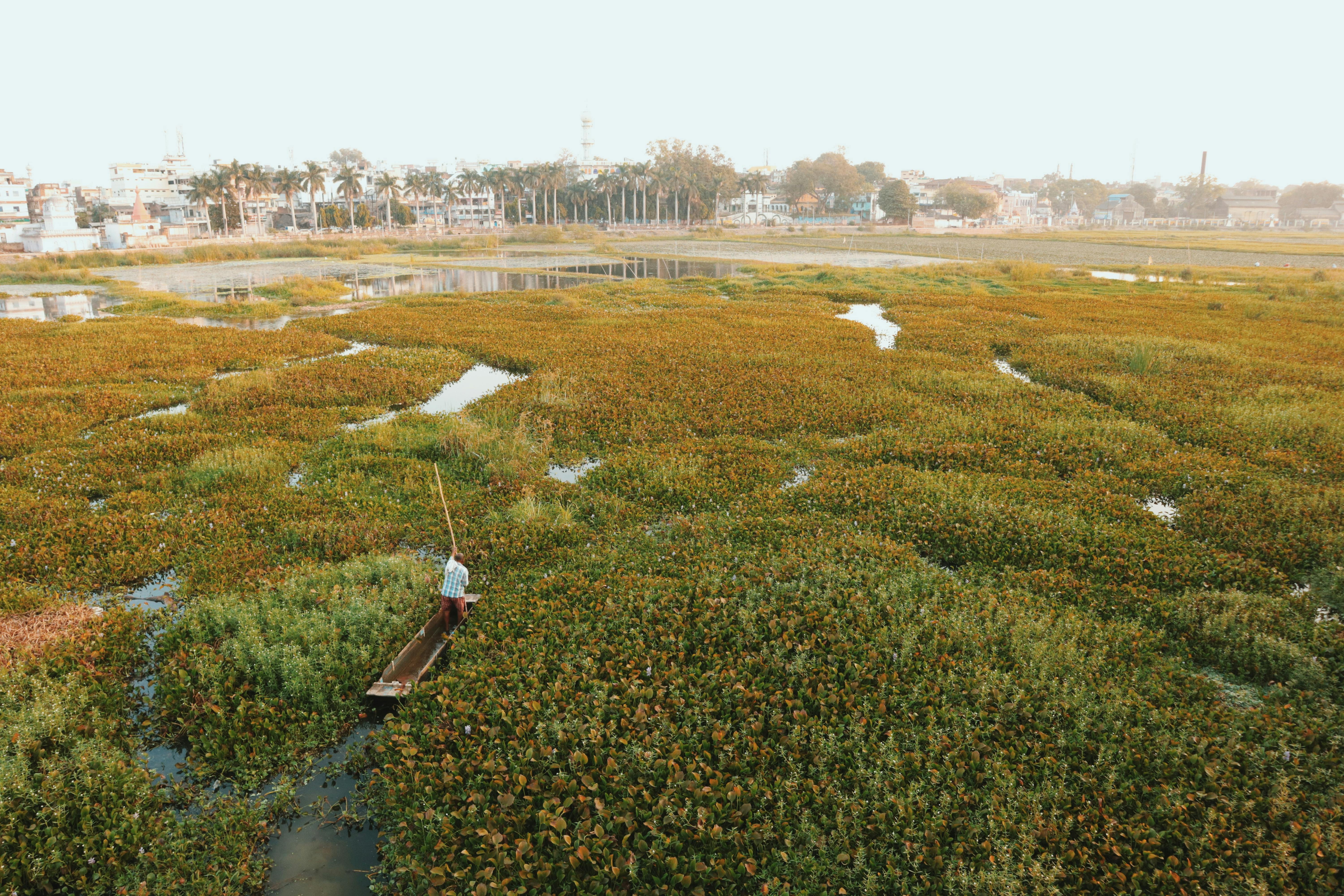 Rudrasagar Lake: Tripura's Natural Heritage Jewel Facing Conservation Challenges