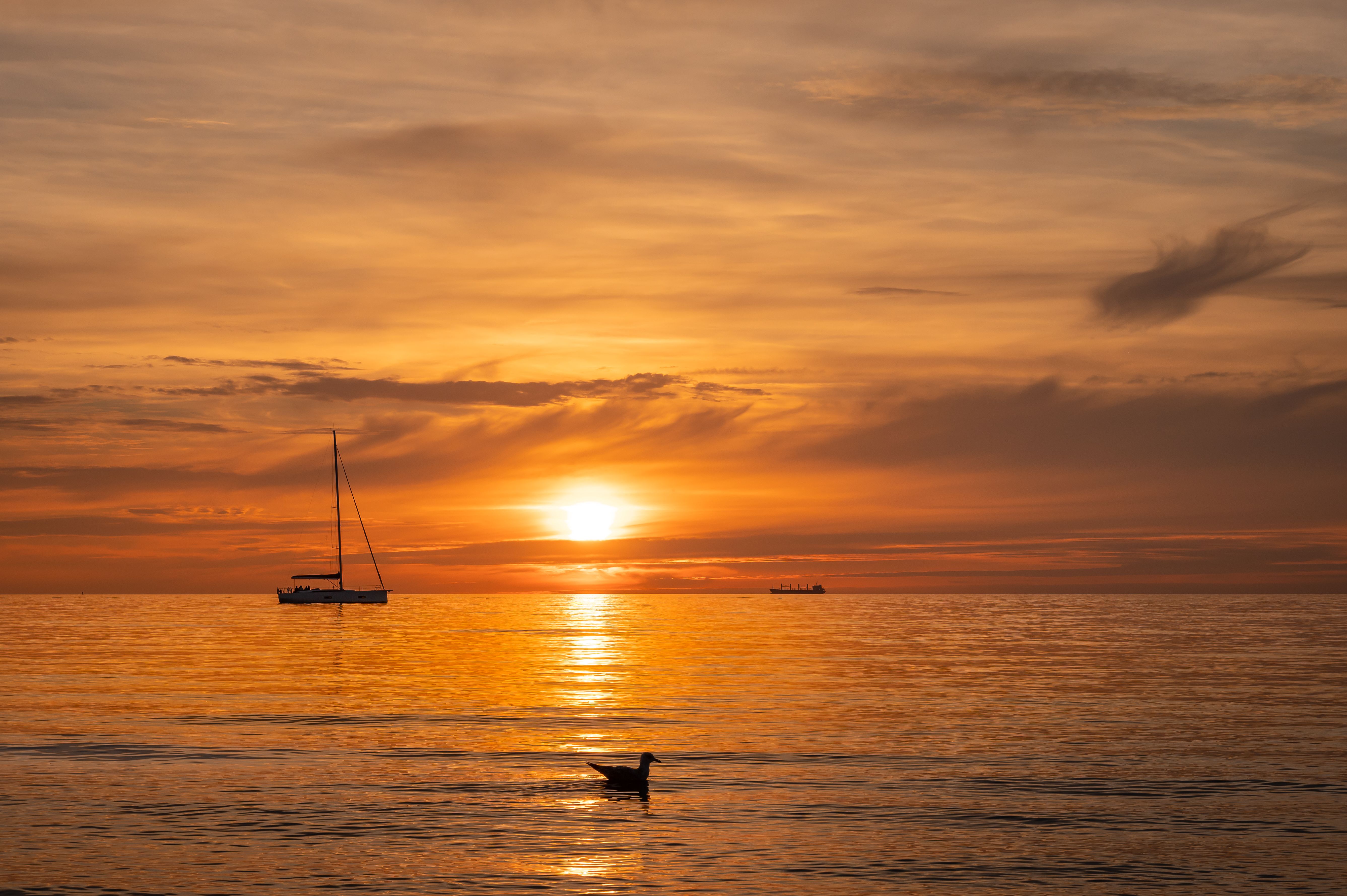 Silhouette of a Boat and Bird at Sunset · Free Stock Photo